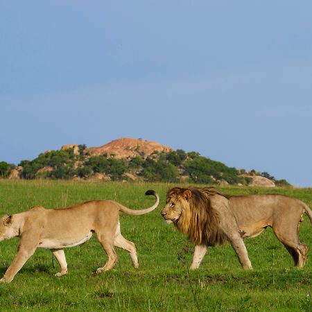Nkomazi Game Reserve By Newmark Badplaas Kültér fotó