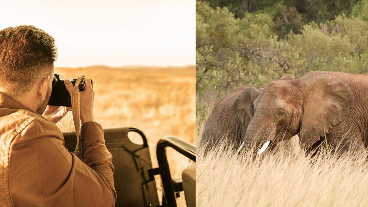 Nkomazi Game Reserve By Newmark Badplaas Kültér fotó