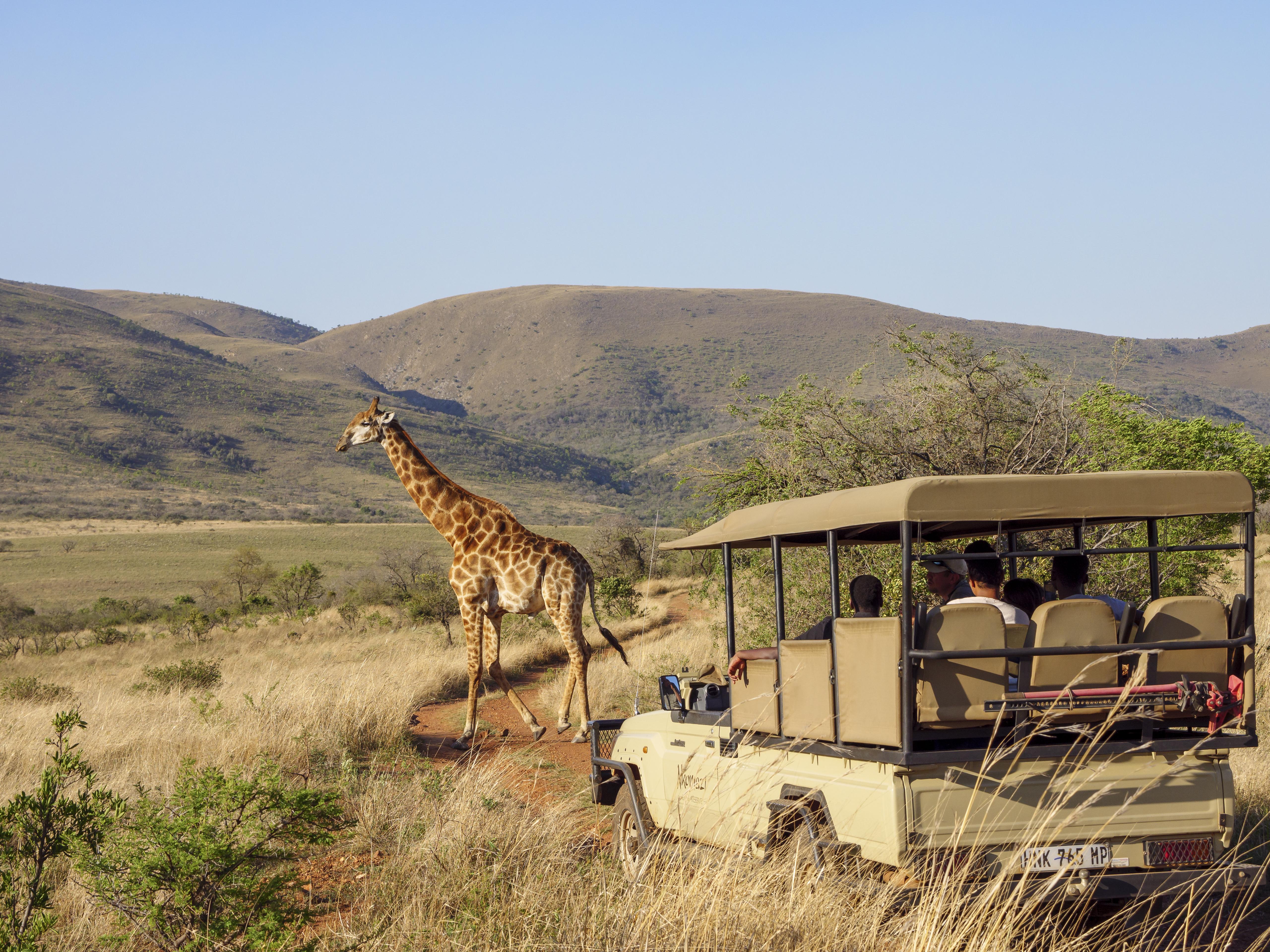 Nkomazi Game Reserve By Newmark Badplaas Kültér fotó
